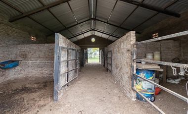 VENTA - Campo - Perez.