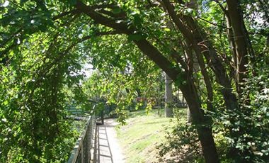 COMPLEJO DE CABAÑAS EN VENTA - TIMBÚES SANTA FE