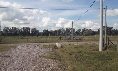 Terreno - Coronel Brandsen