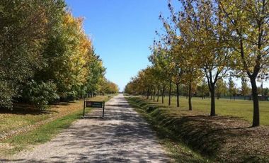 Lote 2190 m2 Financiación OPORTUNIDAD