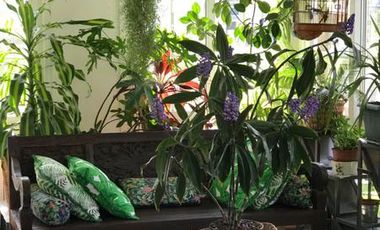 4 dormitorios - Vista a la laguna