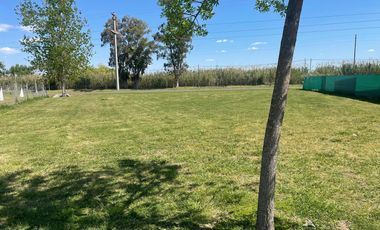 Terreno en El Molino Sur