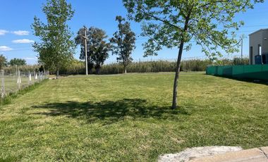 Terreno en El Molino Sur