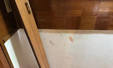 Departamento tipo casa de 3 ambientes con patio y quincho  - Wilde