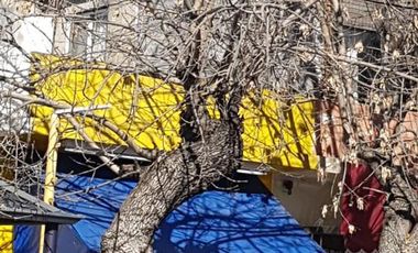 Martinez - Av.H.Yrigoyen 2600-PH/Local/vivienda/terraza- Apto uso prof. y com.-70m2