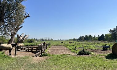 Chacra en Venta en Manzanres, Pilar, GBA Norte