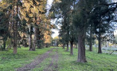 Chacra en Venta en Manzanres, Pilar, GBA Norte