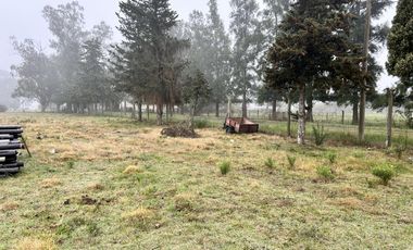 Galpón en Pueblo General Belgrano