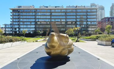 Departamento en Puerto Madero