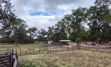 Campo, 2087 HECTAREAS,  GANADERA, LAGUNA GALLO, DEPARTAMENTO PILAGÁS, FORMOSA