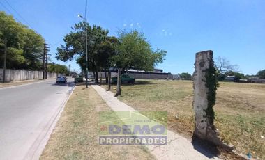 Terreno - Pablo Nogues