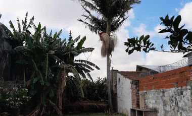 Terreno 8,66 x 62,75 mts  Lanús Este