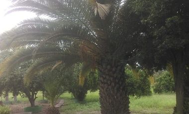 Quinta en Venta Hacienda Palmitos, Cadereyta Jiménez, NL