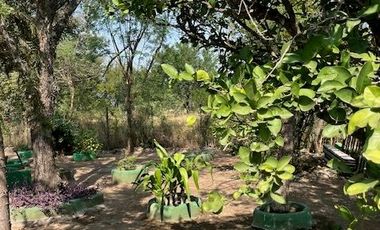 Quinta en Venta Hacienda Palmitos, Cadereyta Jiménez, NL