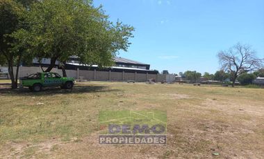 Terreno - Pablo Nogues