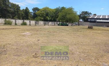 Terreno - Pablo Nogues