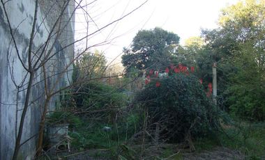 VENDE LOCAL CON VIVIENDA