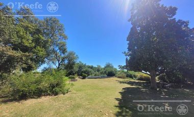 Chacra en venta de 24 has en Magdalena - Ideal Emprendimiento Rural