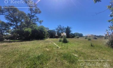 Chacra en venta de 24 has en Magdalena - Ideal Emprendimiento Rural