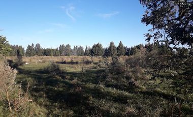 Terreno - San Vicente