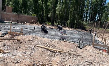 PH en  CENTENARIO B  PERTICONE