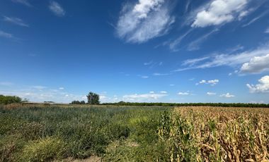 Chacra en Gualeguay