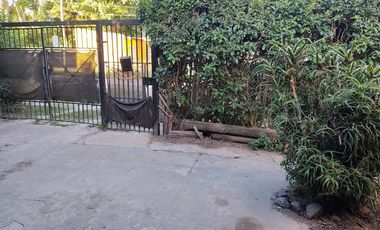 Calle Pino Hachado n 2537 entre calle Pergamino e Iberia