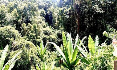 Venta casa Avándaro Valle de Bravo