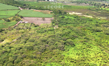 RANCHO EN VENTA EN VILLA CORONA, JALISCO