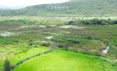 RANCHO EN VENTA EN VILLA CORONA, JALISCO