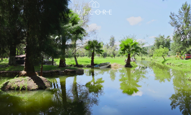 RANCHO EN VENTA EN VILLA CORONA, JALISCO