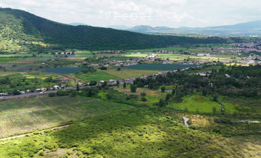 RANCHO EN VENTA EN VILLA CORONA, JALISCO