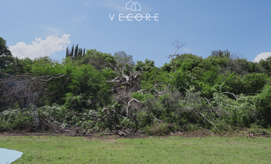 RANCHO EN VENTA EN VILLA CORONA, JALISCO