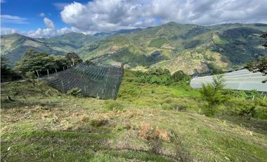 Venta de Lote Rural- El Retiro Antioquia - Vereda Pantalio