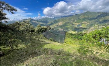 Venta de Lote Rural- El Retiro Antioquia - Vereda Pantalio