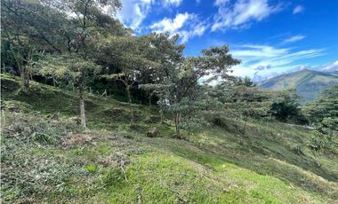 Venta de Lote Rural- El Retiro Antioquia - Vereda Pantalio