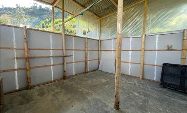 Venta de Lote Rural- El Retiro Antioquia - Vereda Pantalio