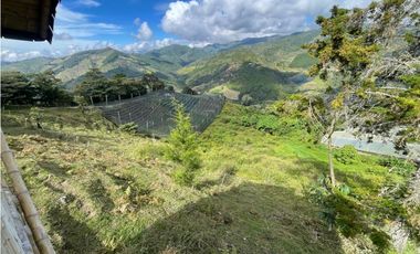 Venta de Lote Rural- El Retiro Antioquia - Vereda Pantalio