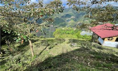 Venta de Lote Rural- El Retiro Antioquia - Vereda Pantalio