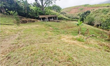 Venta De Lote En San Jeronimo