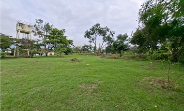 FINCA EN VENTA LOS TULIPANES CHUNAUTA MUNICIPIO DE FUSAGASUGA