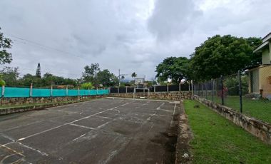 FINCA EN VENTA LOS TULIPANES CHUNAUTA MUNICIPIO DE FUSAGASUGA