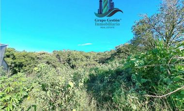 VENDO TERRENO DE 1HA 4206M2 COLINDANTE CON  QUEBRADA