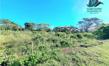 VENDO TERRENO DE 1HA 4206M2 COLINDANTE CON  QUEBRADA