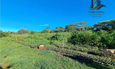 VENDO TERRENO DE 1HA 4206M2 COLINDANTE CON  QUEBRADA