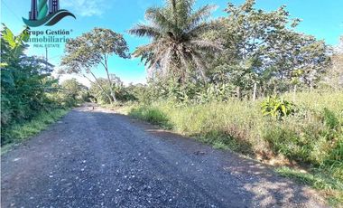 VENDO TERRENO DE 1HA 4206M2 COLINDANTE CON  QUEBRADA