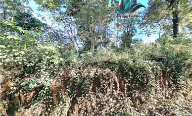 VENDO TERRENO DE 1HA 4206M2 COLINDANTE CON  QUEBRADA