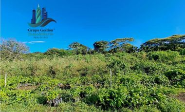 VENDO TERRENO DE 1HA 4206M2 COLINDANTE CON  QUEBRADA