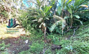 VENDO TERRENO DE 1HA 4206M2 COLINDANTE CON  QUEBRADA