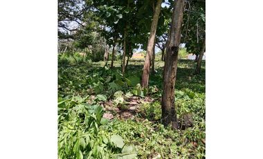 VENTA DE TERRENO EN CORONADO